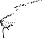 Power Cables - NO NVE